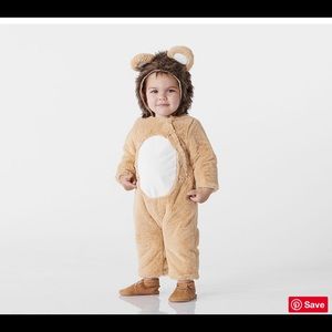 Pottery Barn baby lion costume